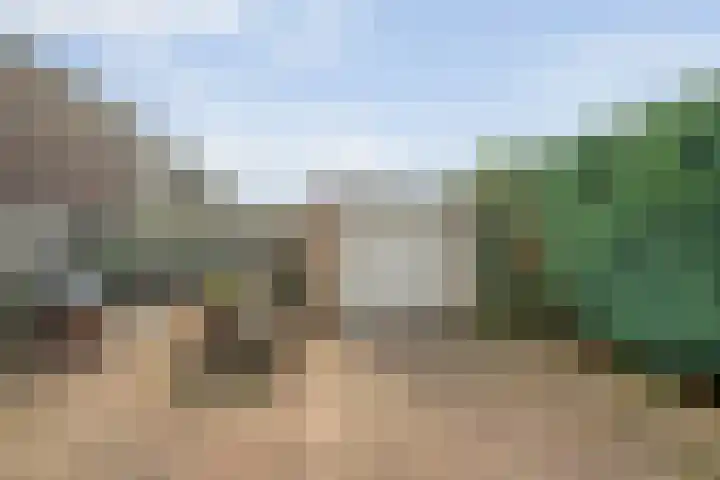 Jan Topweg 7 Nunspeet thumbnail 43