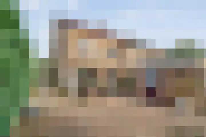 Jan Topweg 7 Nunspeet thumbnail 44