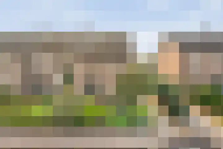 Jan Topweg 7 Nunspeet thumbnail 5