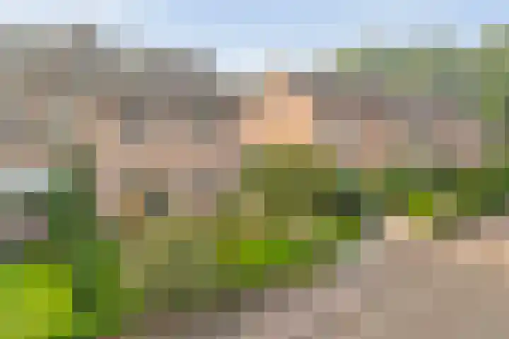 Jan Topweg 7 Nunspeet thumbnail 6