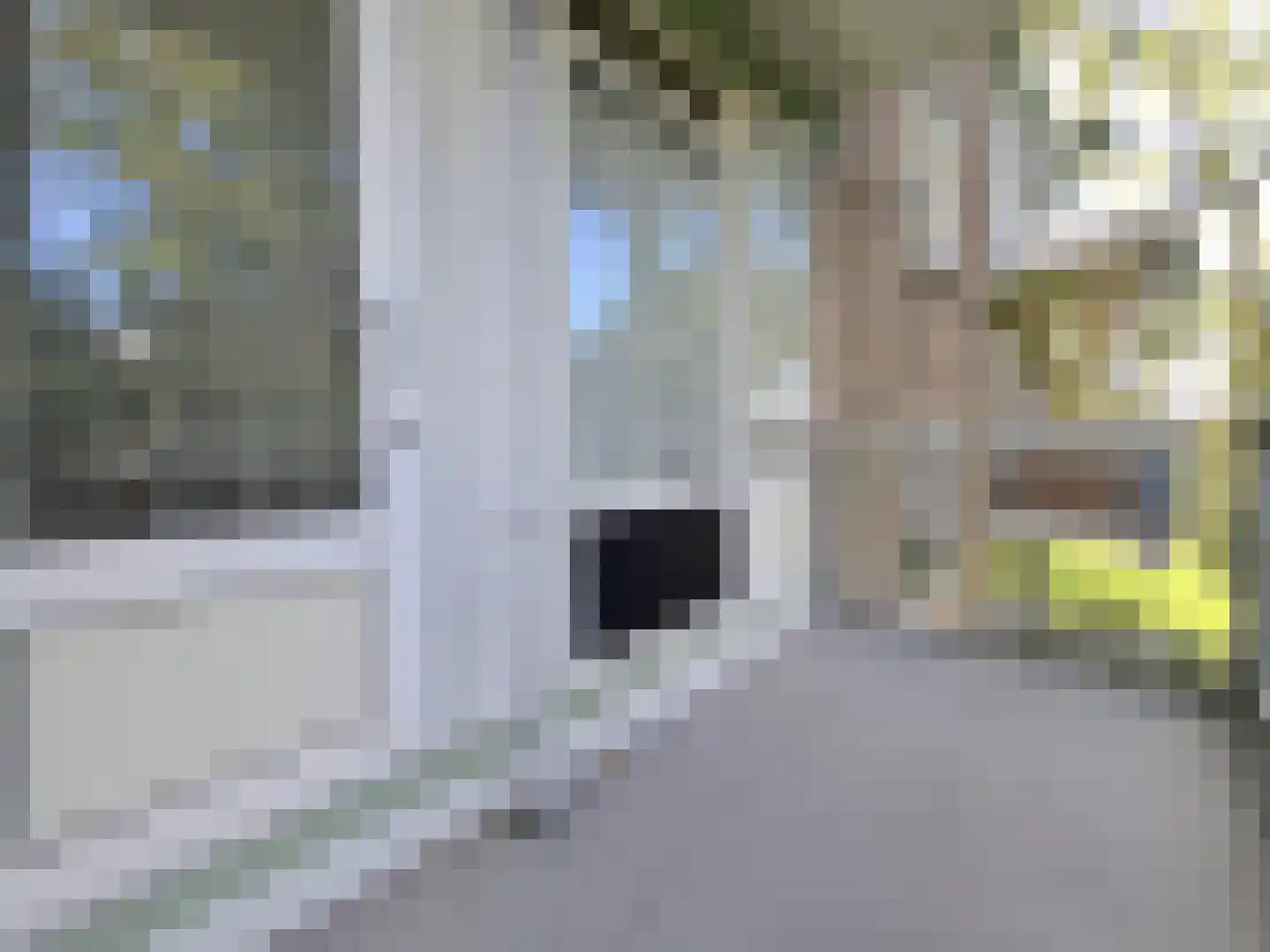 Jan Trooststraat 37 Rotterdam thumbnail 14