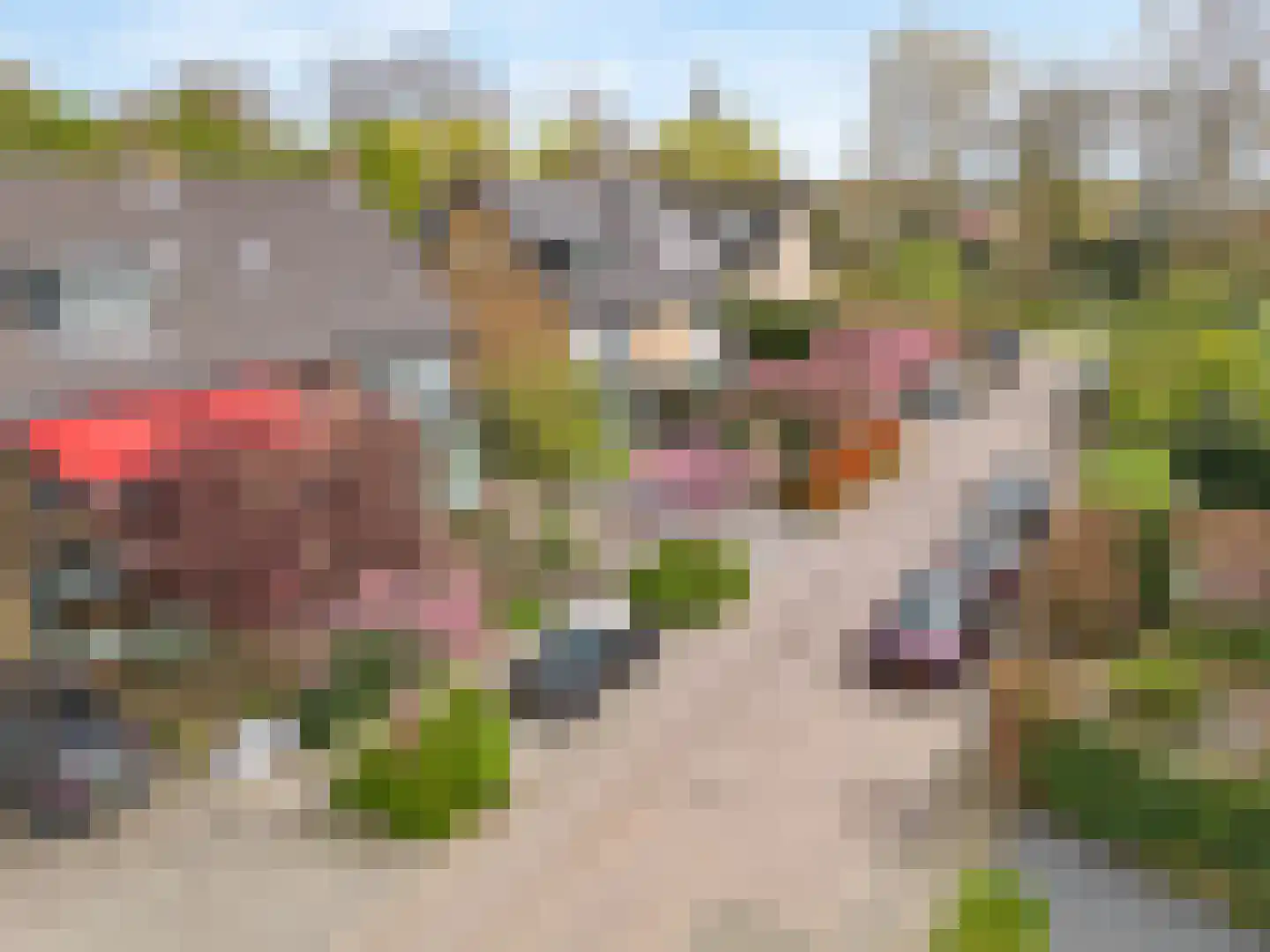 Jan Trouwstraat 6 Abcoude thumbnail 39