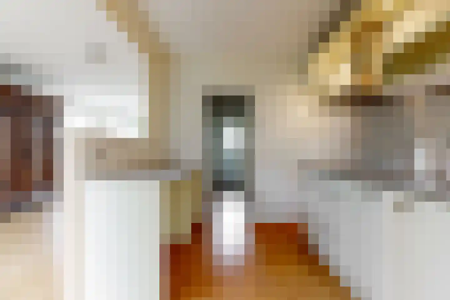 Jan Trouwstraat 6 Abcoude thumbnail 8