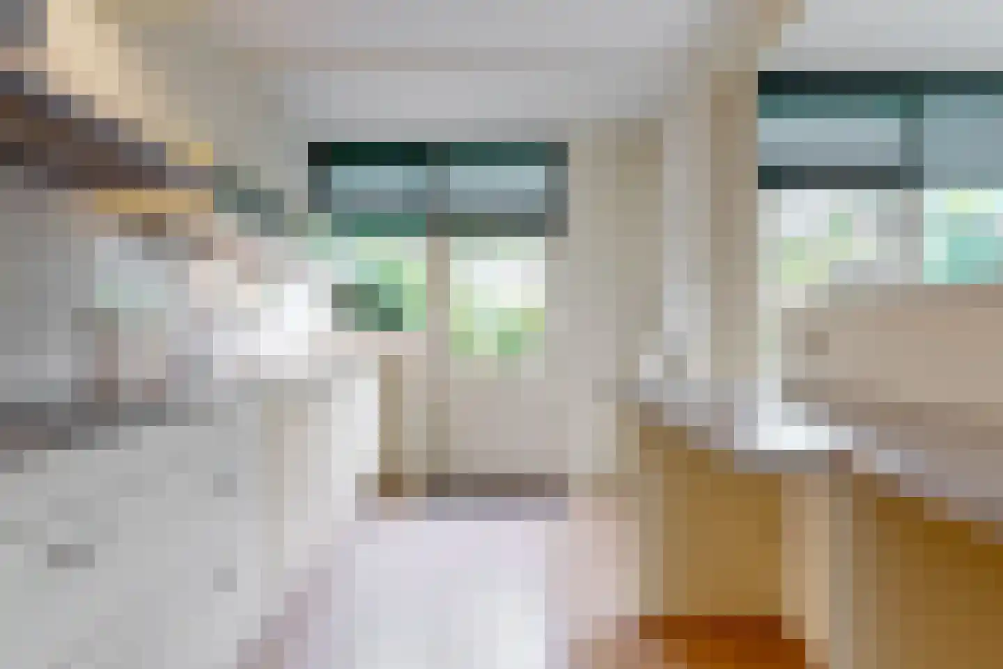 Jan Trouwstraat 6 Abcoude thumbnail 9