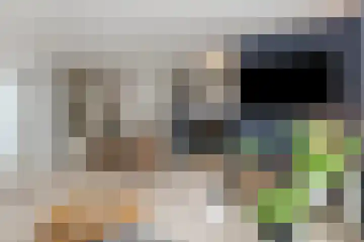 Jan Truijenlaan 29 Tilburg thumbnail 11
