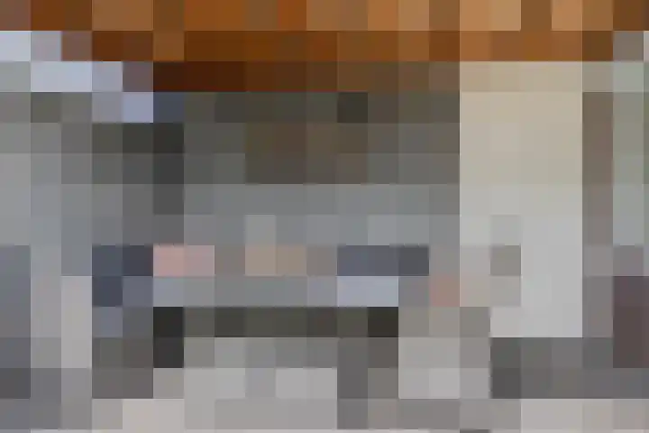 Jan Truijenlaan 29 Tilburg thumbnail 25