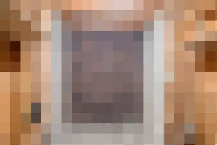 Jan Truijenlaan 29 Tilburg thumbnail 27