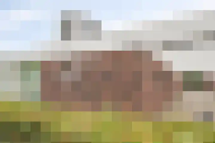 Jan Truijenlaan 29 Tilburg thumbnail 28