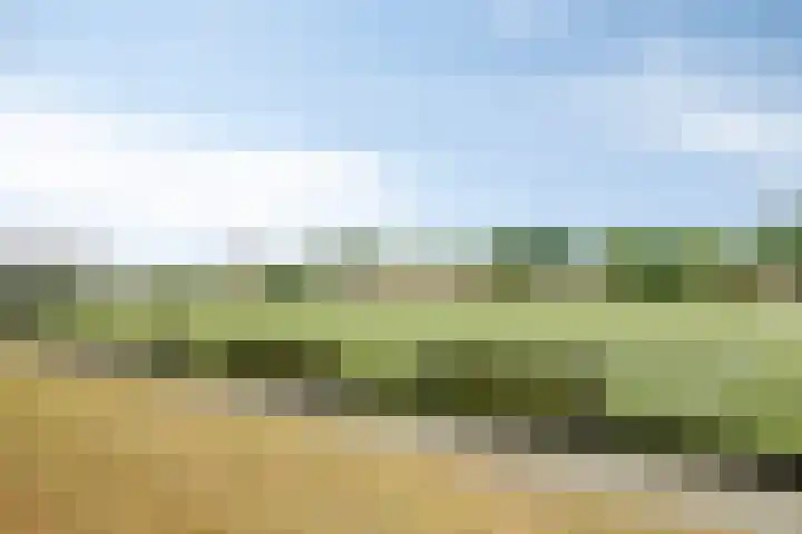 Jan Truijenlaan 29 Tilburg thumbnail 31