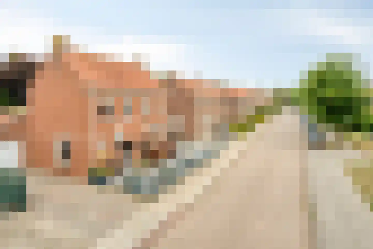 Jan Truijenstraat 28 Weert thumbnail 53