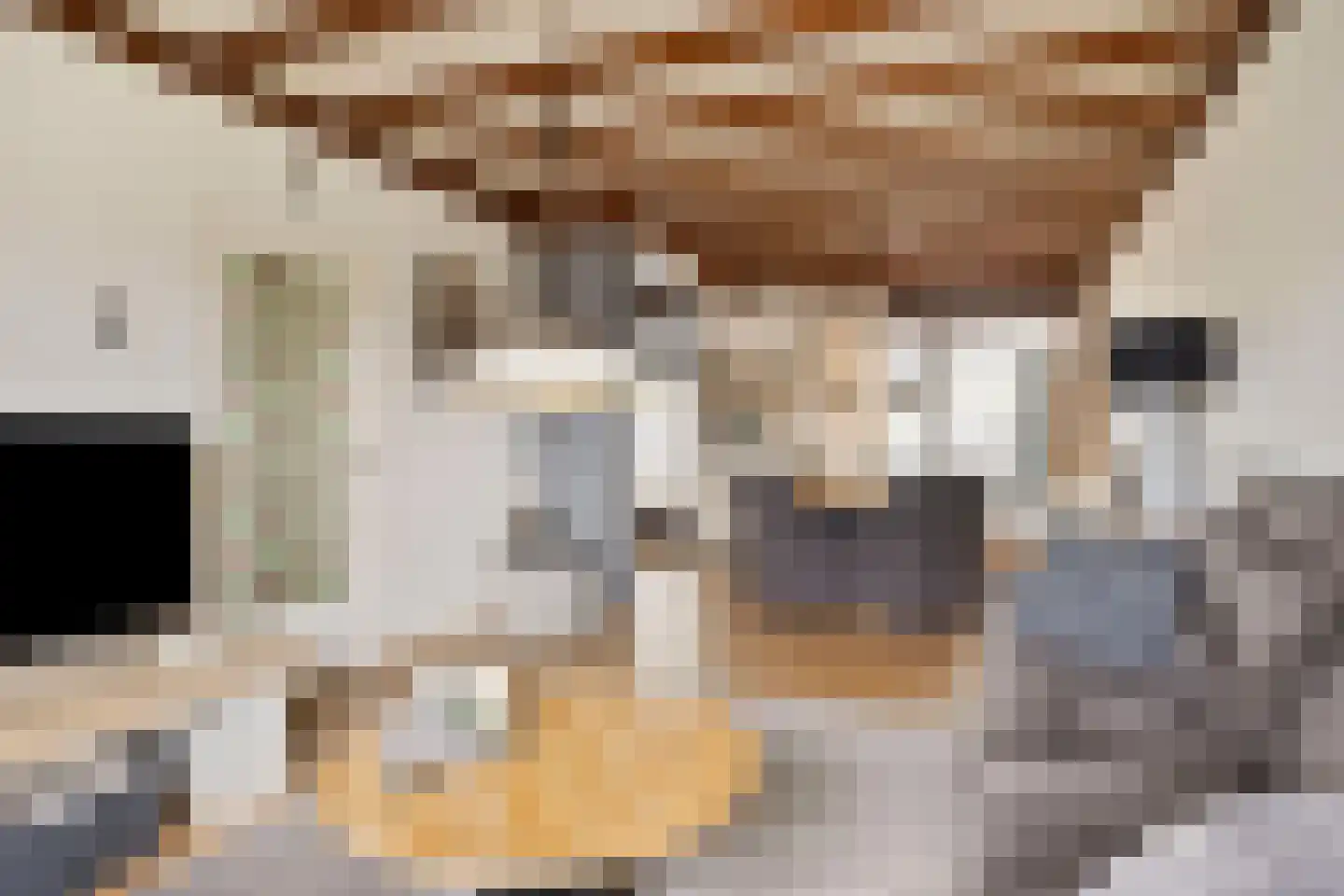 Jan Truyenstraat 22 Roermond thumbnail 11