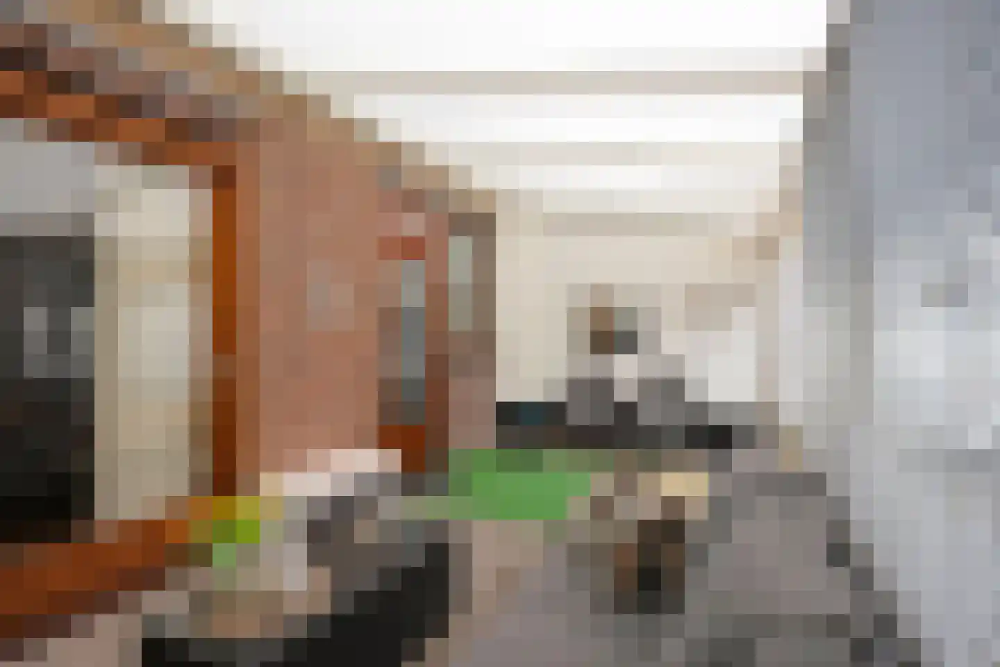 Jan Truyenstraat 22 Roermond thumbnail 23