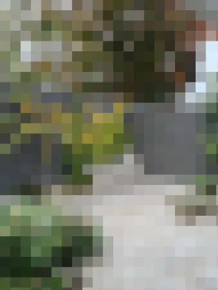 Jan Truyenstraat 24 Roermond thumbnail 27