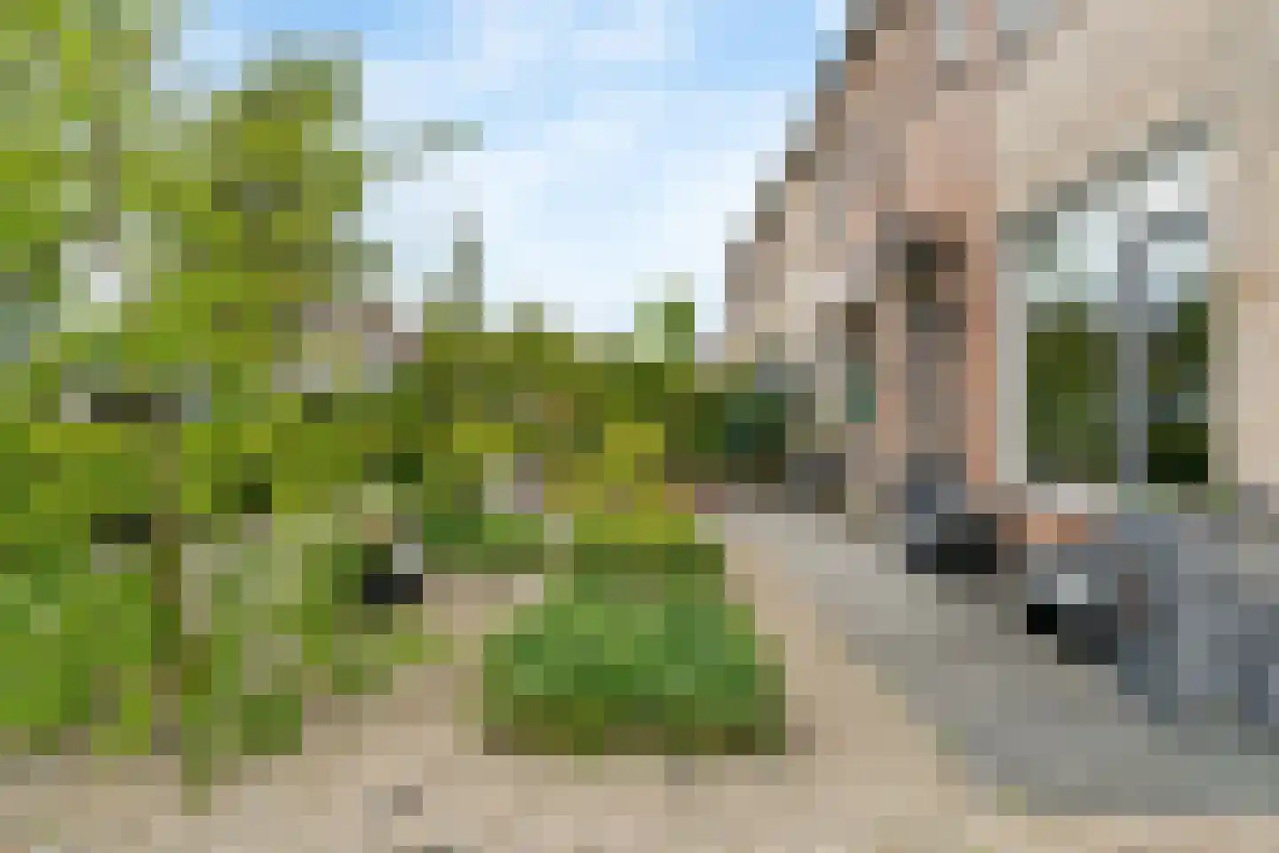 Jan Valkeringlaan 5 Limmen thumbnail 43