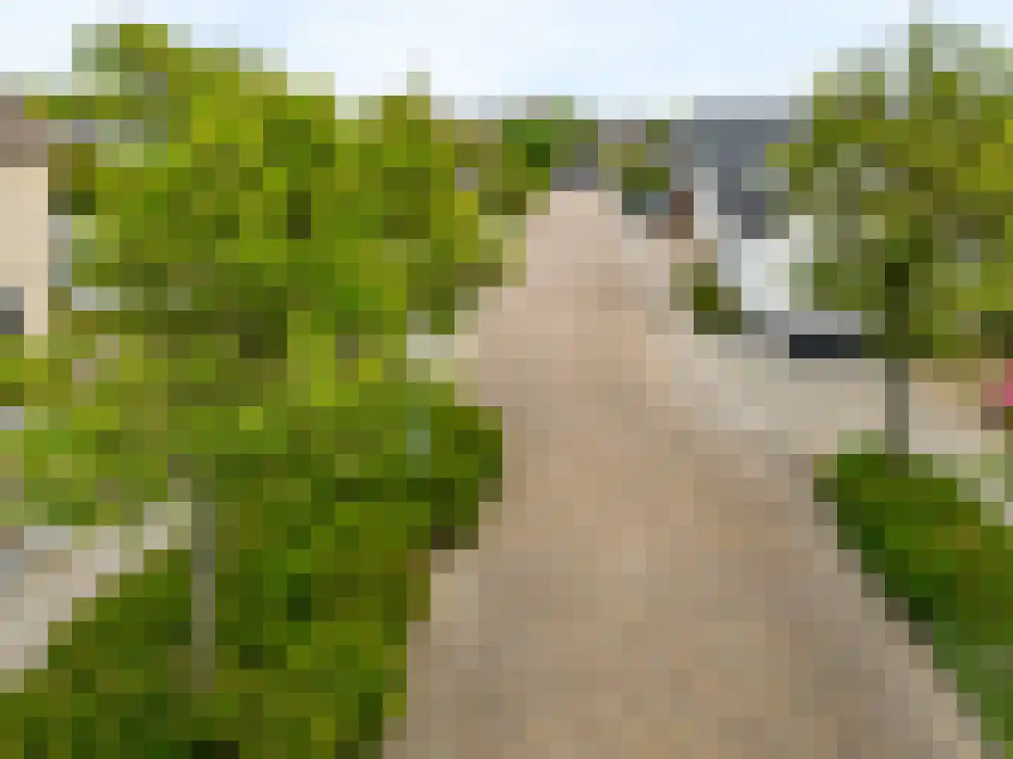 Jan Valkeringlaan 5 Limmen thumbnail 49