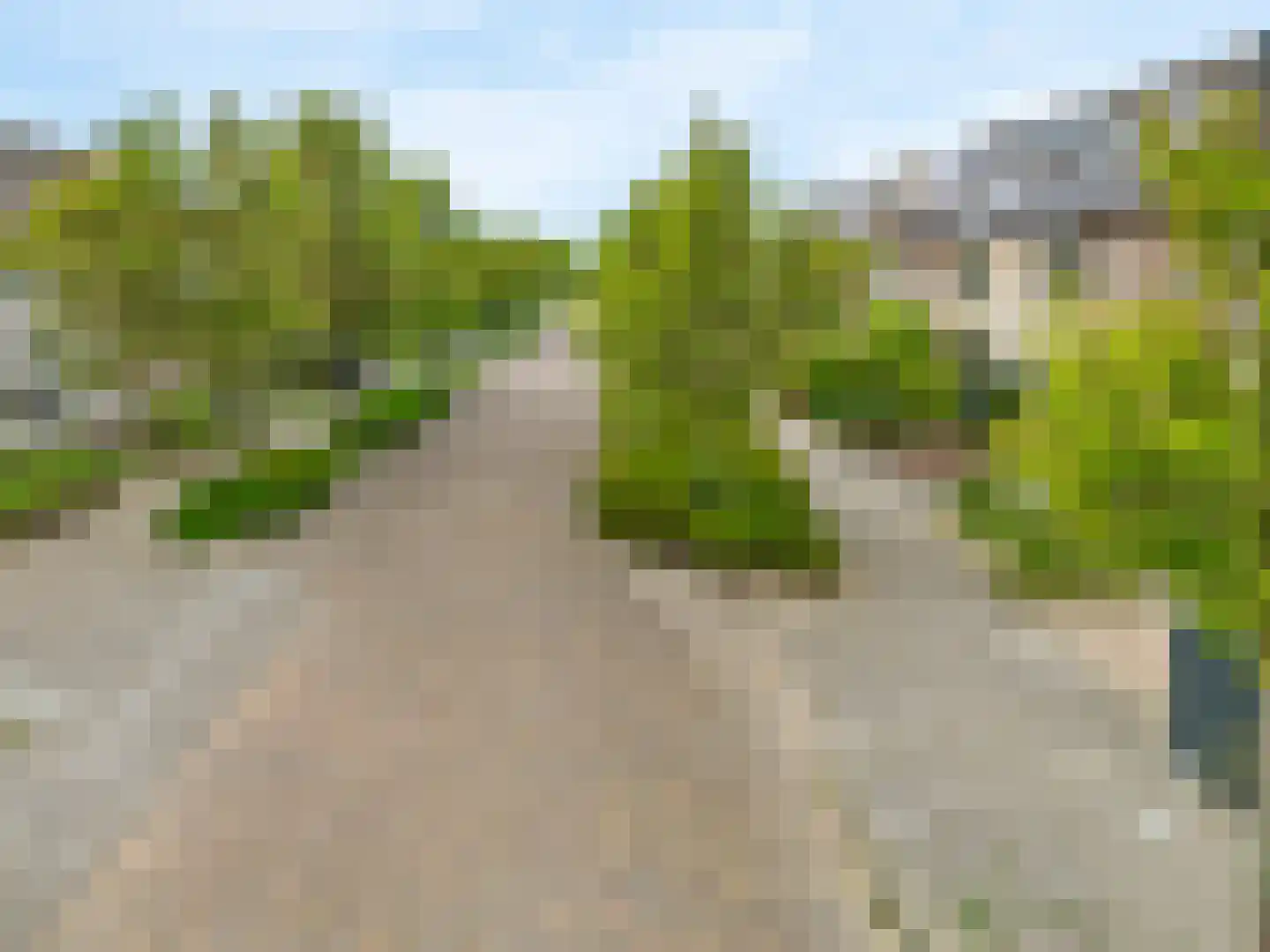 Jan Valkeringlaan 5 Limmen thumbnail 50