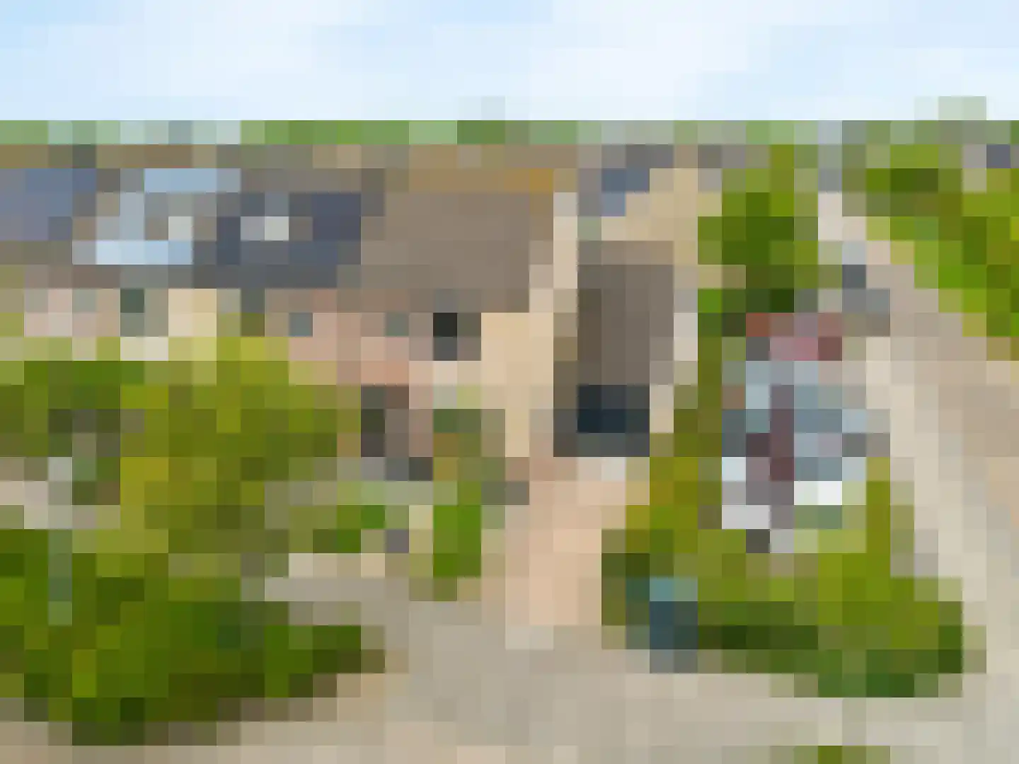 Jan Valkeringlaan 5 Limmen thumbnail 6