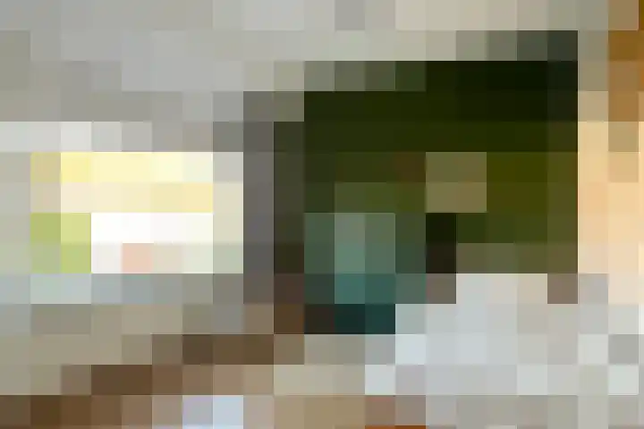 Jan van Aemstelstraat 41 Lopik thumbnail 19