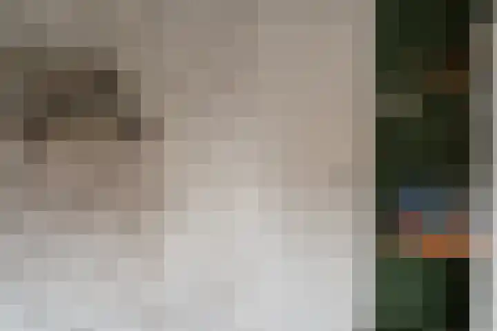 Jan van Aemstelstraat 41 Lopik thumbnail 21