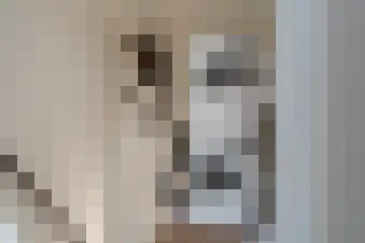 Jan van Aemstelstraat 41 Lopik thumbnail 22