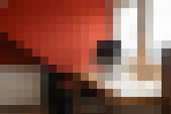 Jan van Aemstelstraat 41 Lopik thumbnail 25