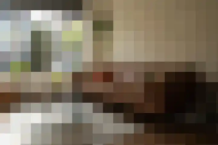 Jan van Aemstelstraat 41 Lopik thumbnail 4