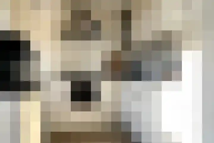 Jan van Aemstelstraat 41 Lopik thumbnail 7
