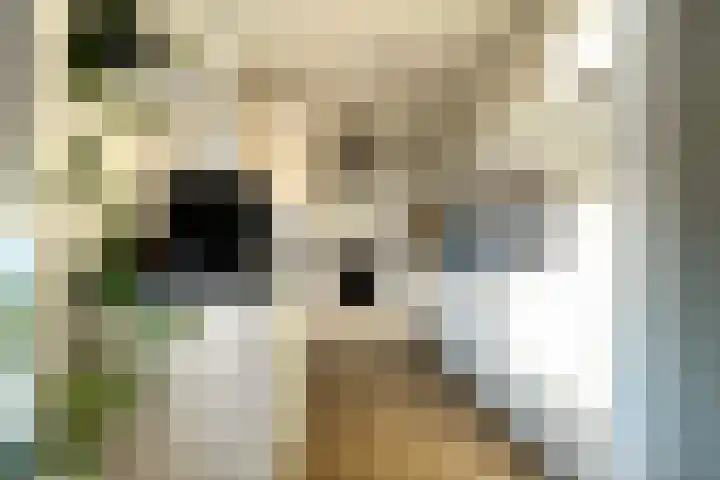 Jan van Aemstelstraat 41 Lopik thumbnail 8