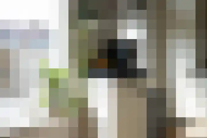 Jan van Aemstelstraat 41 Lopik thumbnail 9