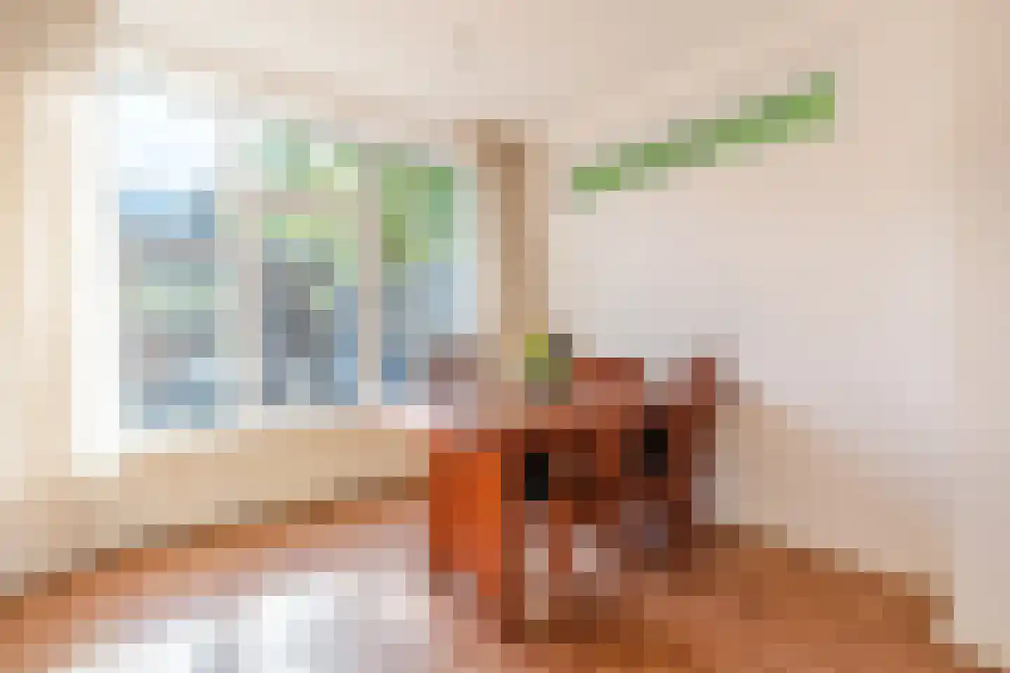 Jan van Amstelstraat 2 Geldrop thumbnail 11