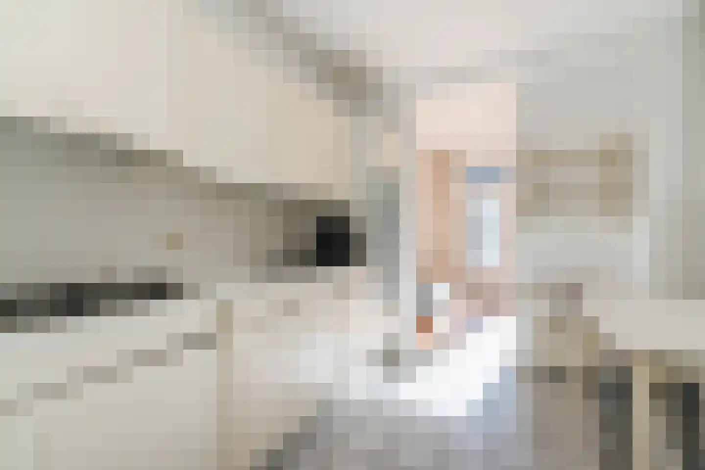 Jan van Amstelstraat 2 Geldrop thumbnail 17