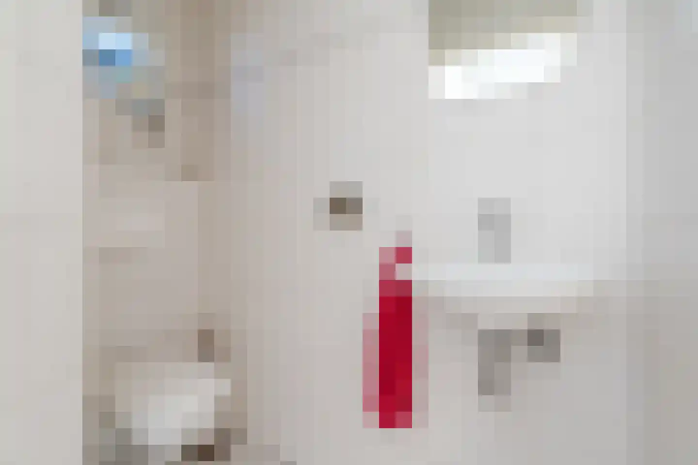Jan van Amstelstraat 2 Geldrop thumbnail 18