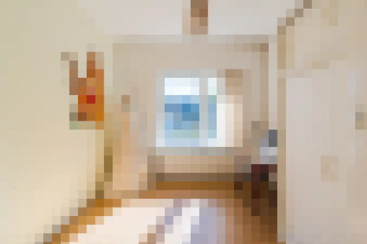 Jan van Amstelstraat 2 Geldrop thumbnail 23
