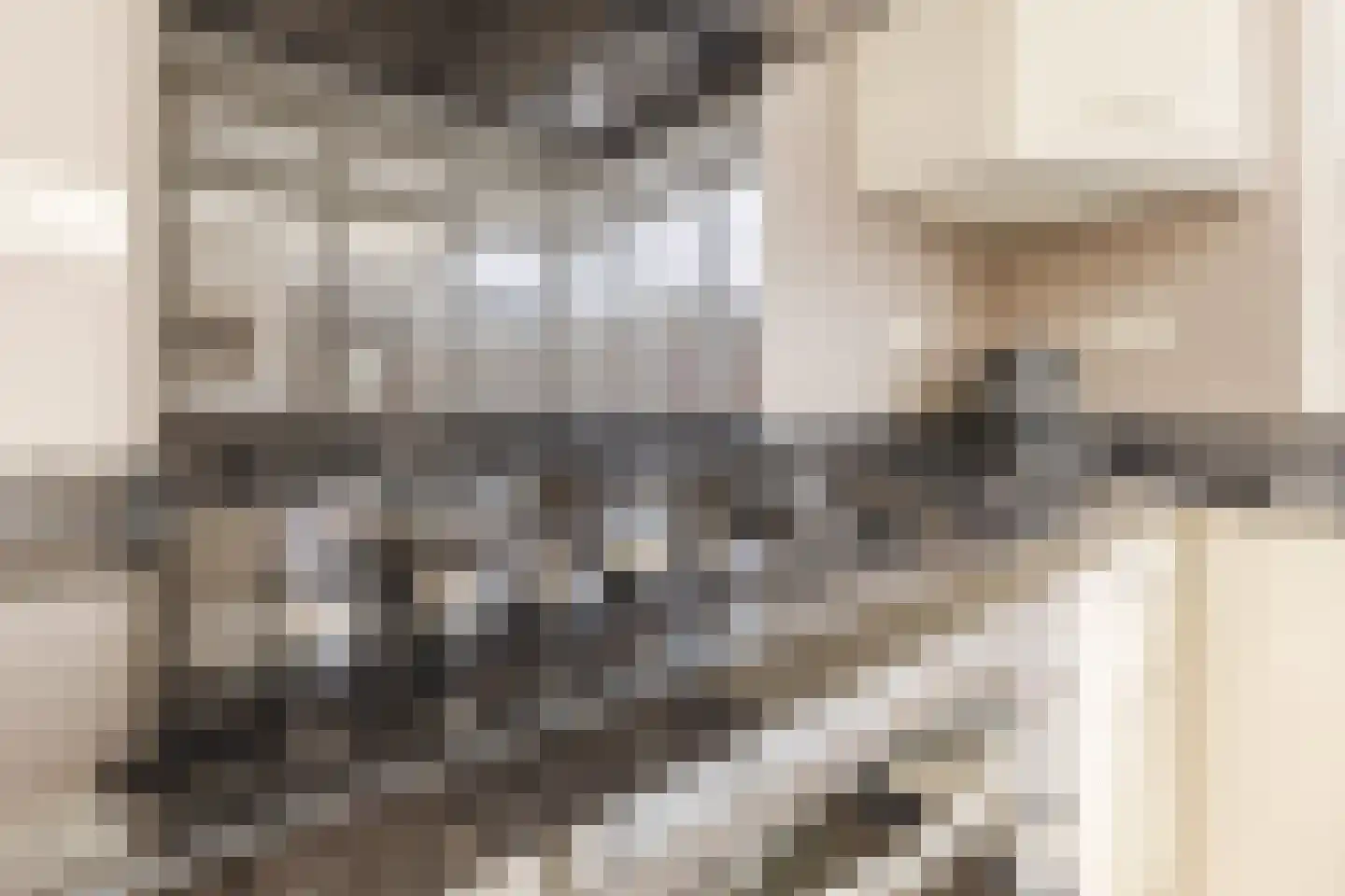 Jan van Amstelstraat 22 Geldrop thumbnail 12
