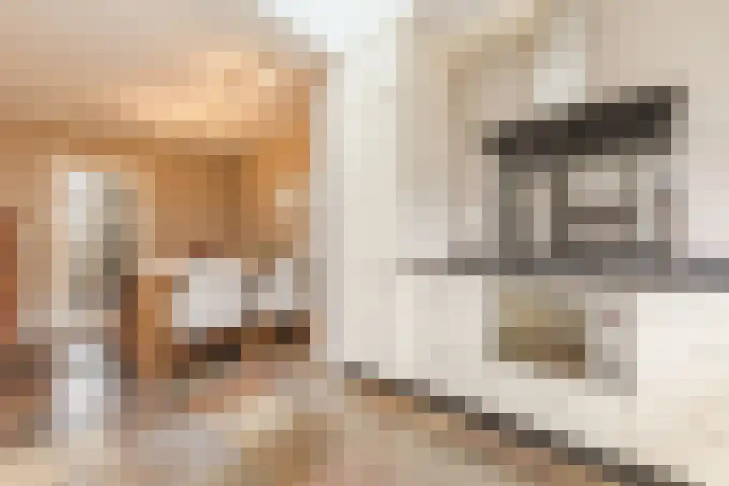 Jan van Amstelstraat 22 Geldrop thumbnail 13