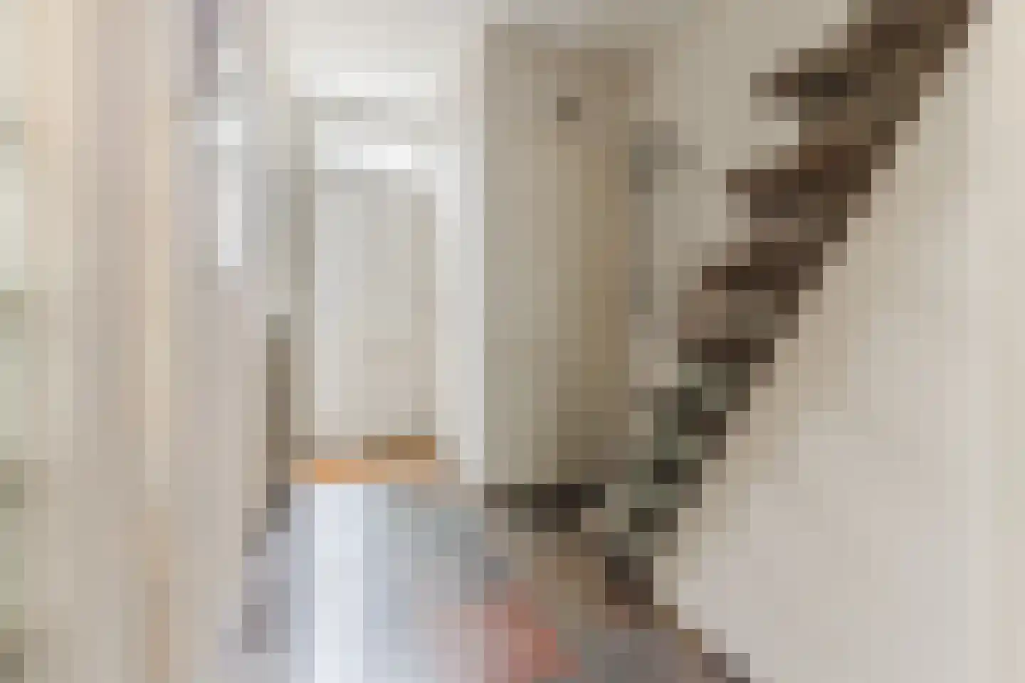 Jan van Amstelstraat 22 Geldrop thumbnail 14