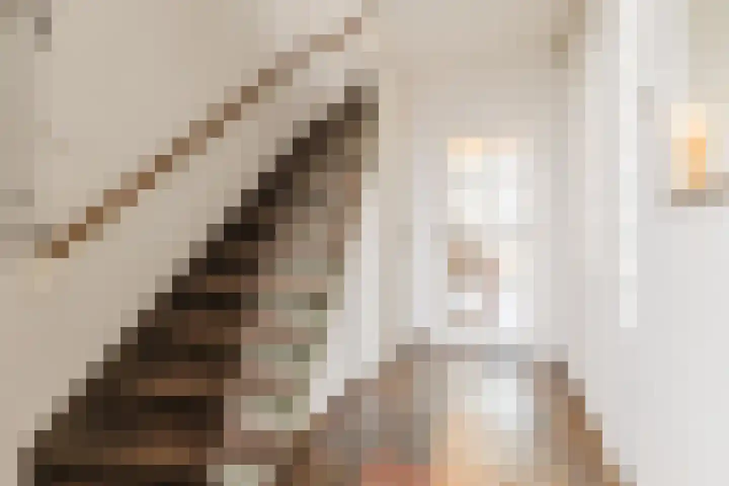 Jan van Amstelstraat 22 Geldrop thumbnail 16
