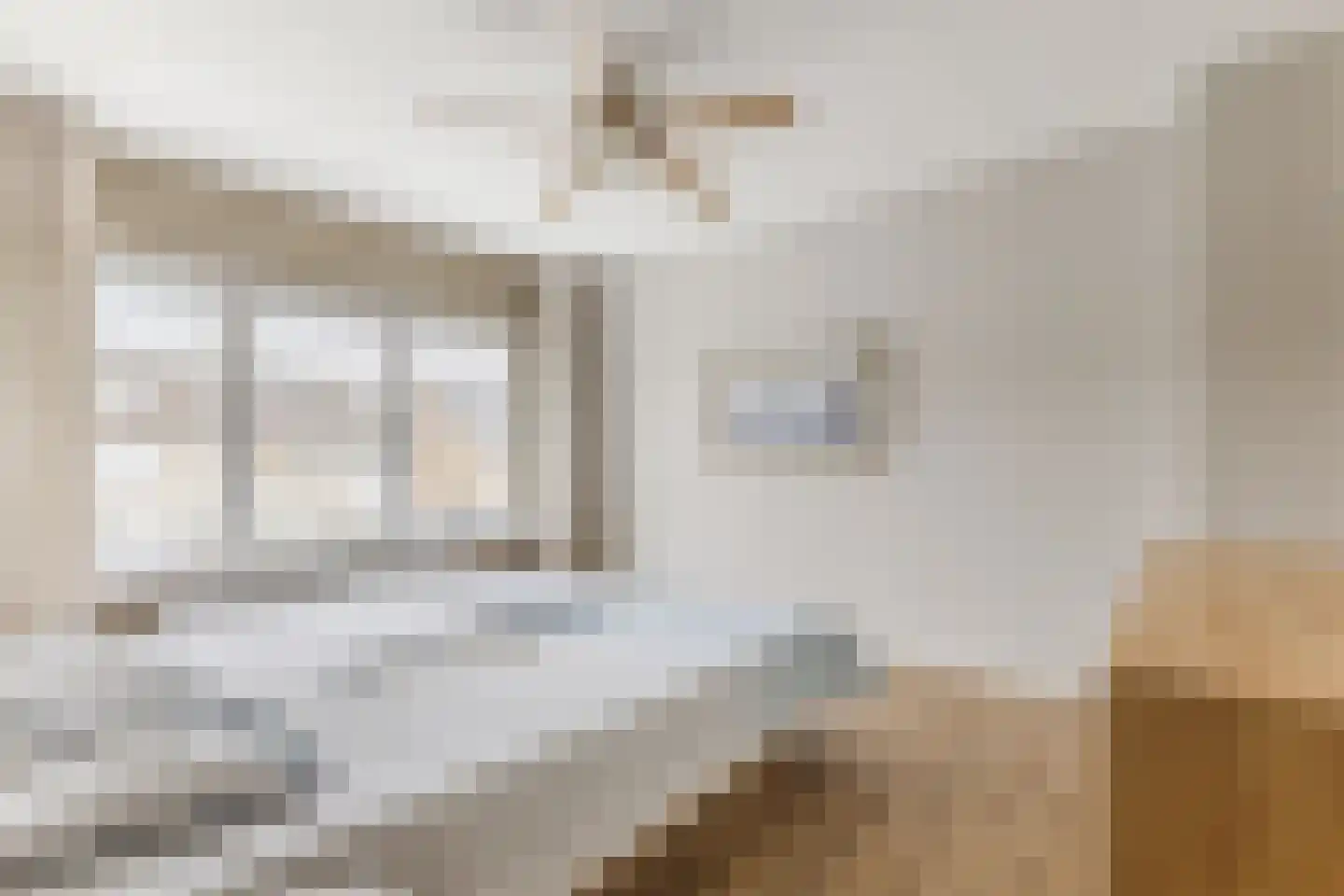 Jan van Amstelstraat 22 Geldrop thumbnail 19