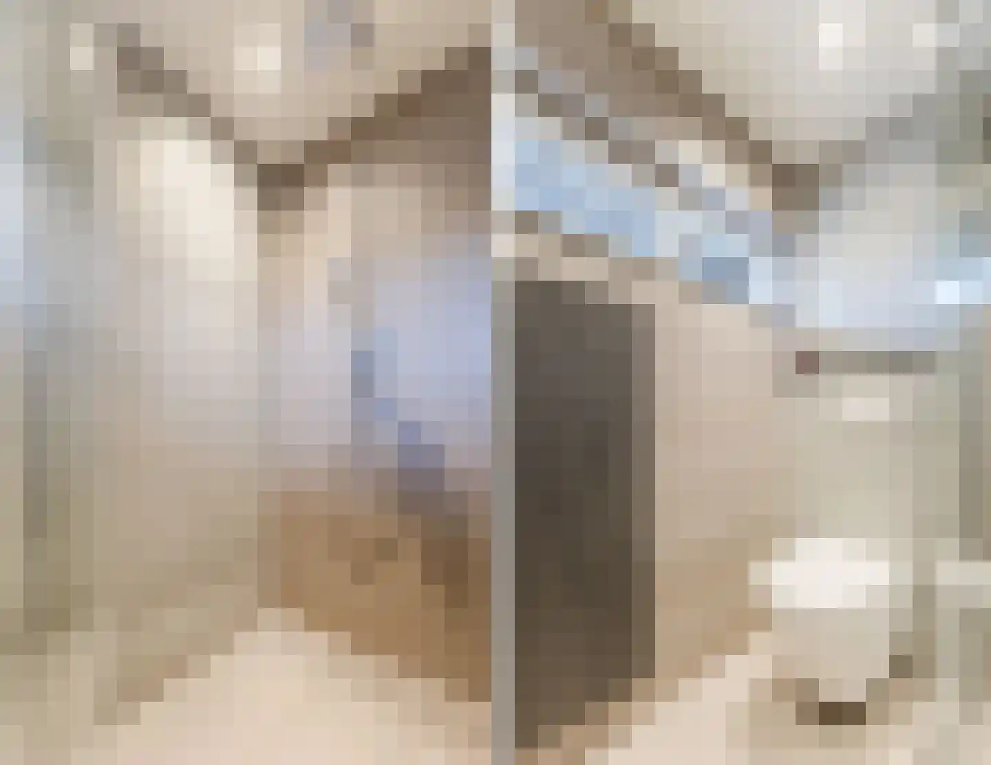 Jan van Amstelstraat 22 Geldrop thumbnail 25