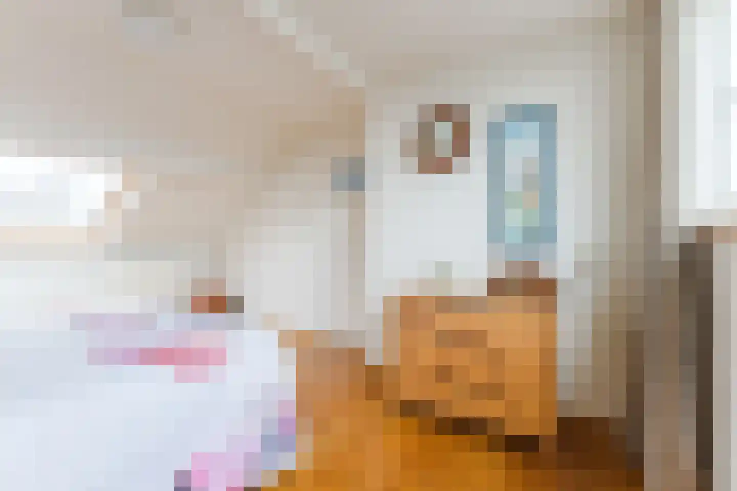 Jan van Amstelstraat 22 Geldrop thumbnail 30