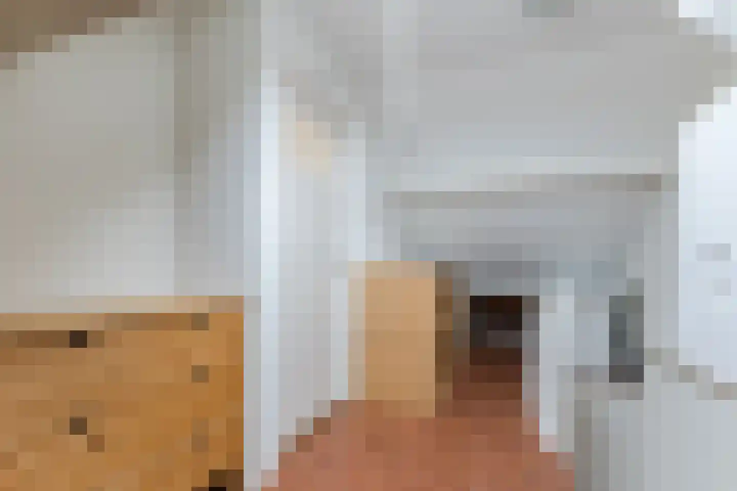 Jan van Amstelstraat 22 Geldrop thumbnail 32