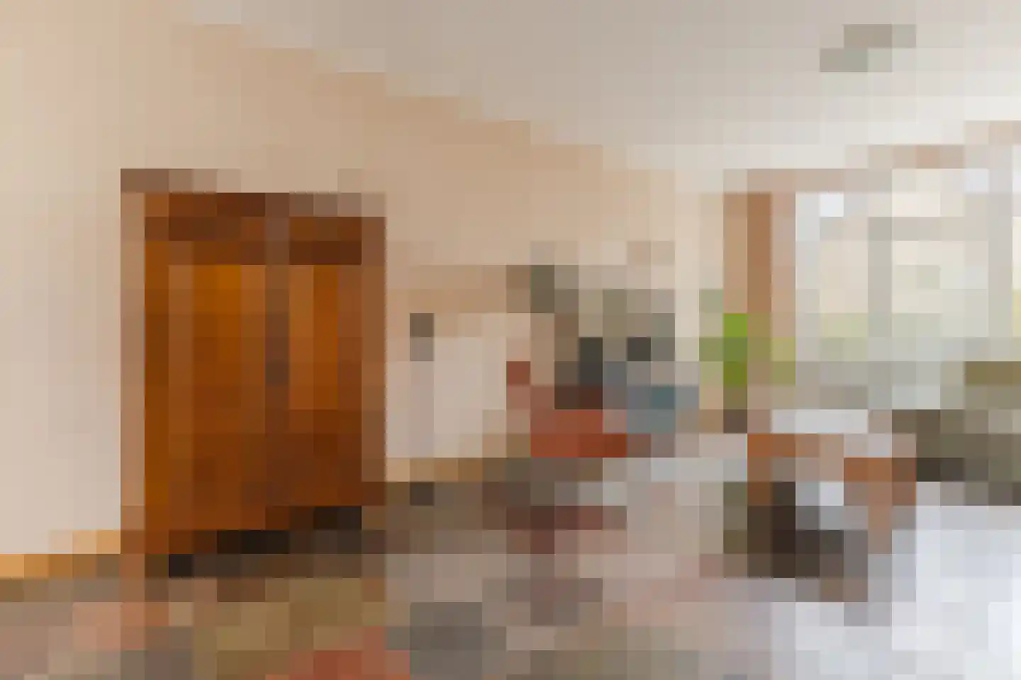 Jan van Amstelstraat 22 Geldrop thumbnail 6