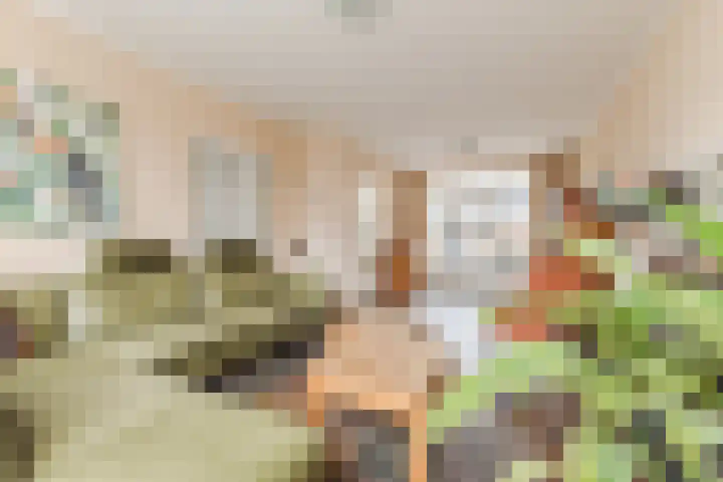 Jan van Amstelstraat 22 Geldrop thumbnail 7