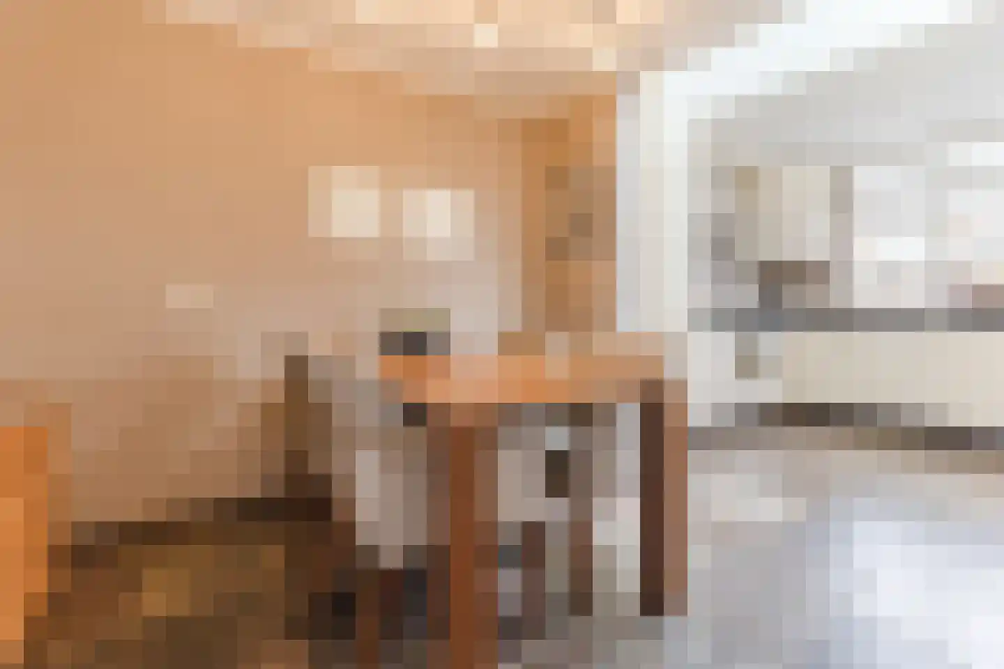 Jan van Amstelstraat 22 Geldrop thumbnail 8