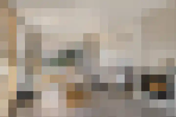 Jan van Amstelstraat 53 Gemert thumbnail 5