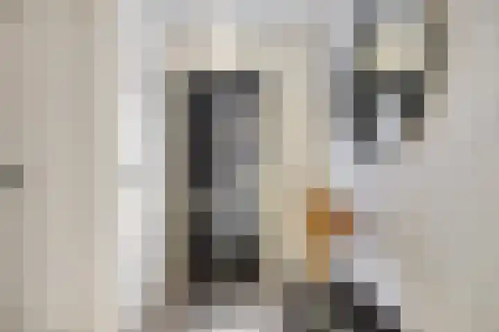 Jan van Amstelstraat 53 Gemert thumbnail 7