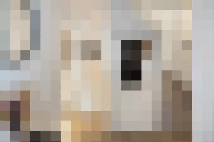 Jan van Amstelstraat 53 Gemert thumbnail 8