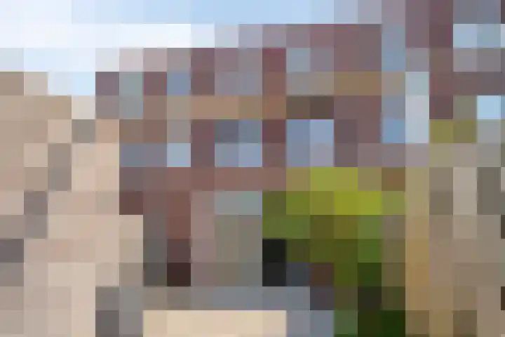 Jan van Amstelstraat 53 Vught thumbnail 33