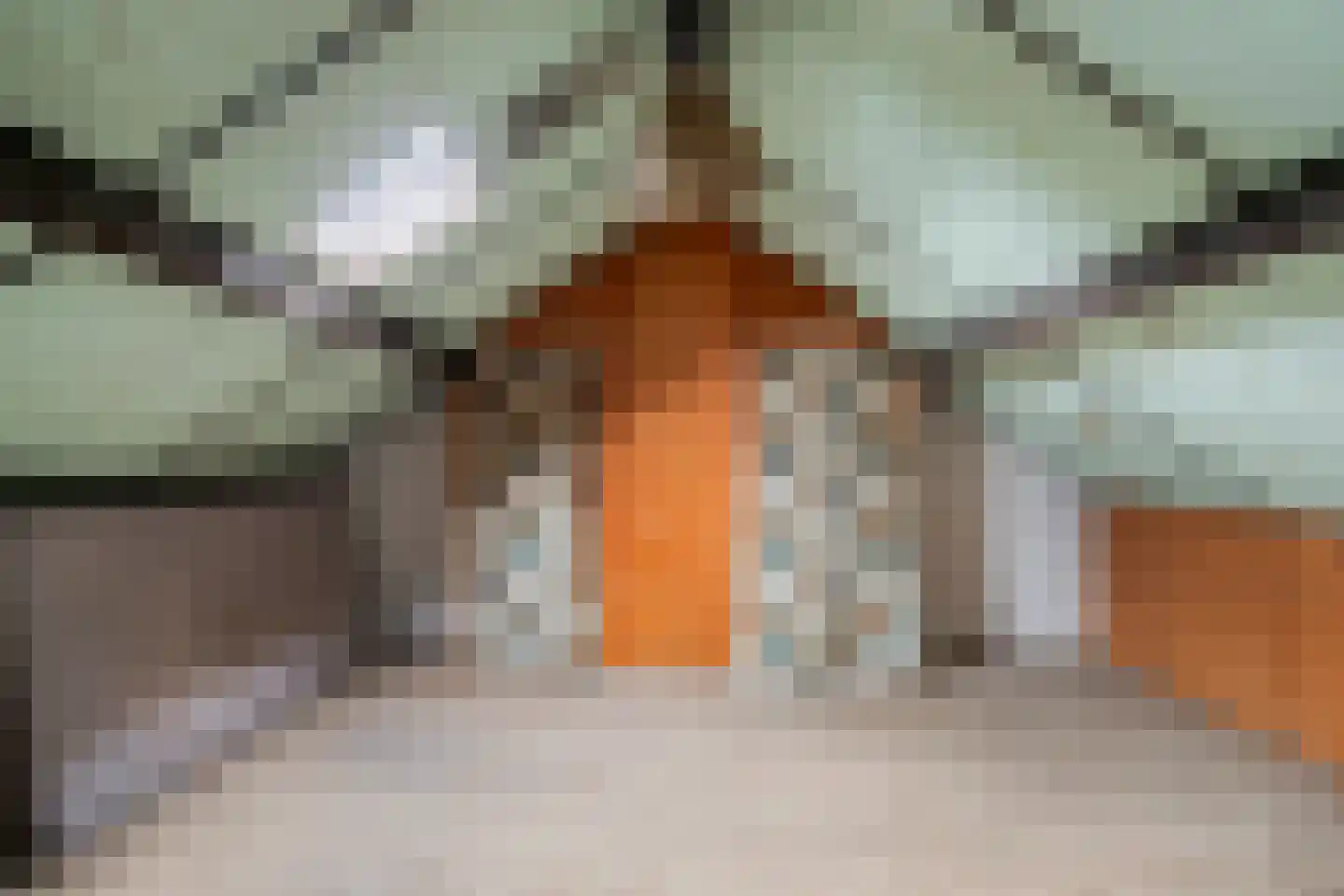 Jan van Amstelstraat 80 Schijndel thumbnail 31