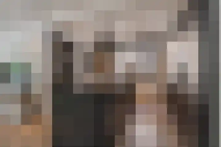 Jan van Amstelstraat 84 Schijndel thumbnail 7